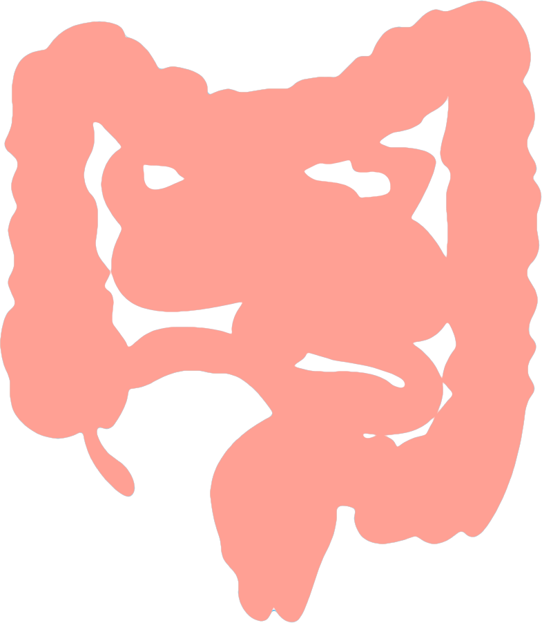 AlimentSante's tweet photo. Maladie de Crohn : le cerveau est aussi affecté ! https://t.co/puyCLS1k8U https://t.co/HginlOaeKK