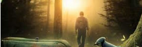 لا ترضى بنصف حب💕
ولا بنصف فراق
اما كل شيء💫 أو لاشيء💫 على الإطلاق