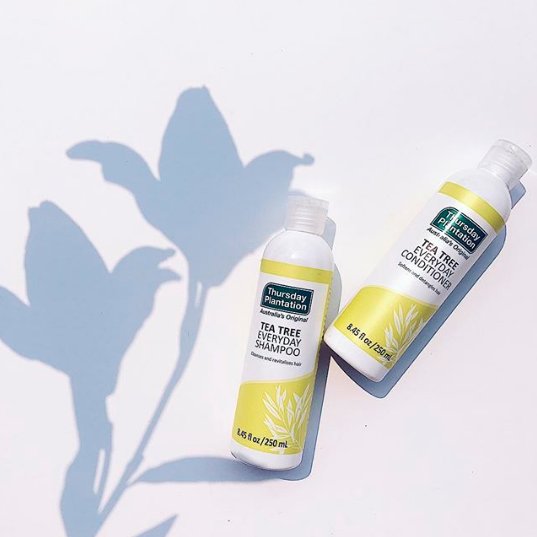 ThursdayPlantUS's tweet photo. Do you wash your hair daily? If so, our Tea Tree Everyday Shampoo &amp; Conditioner are just what you need! #HealthyHair #NaturalHair https://t.co/xrgn0BrkuK