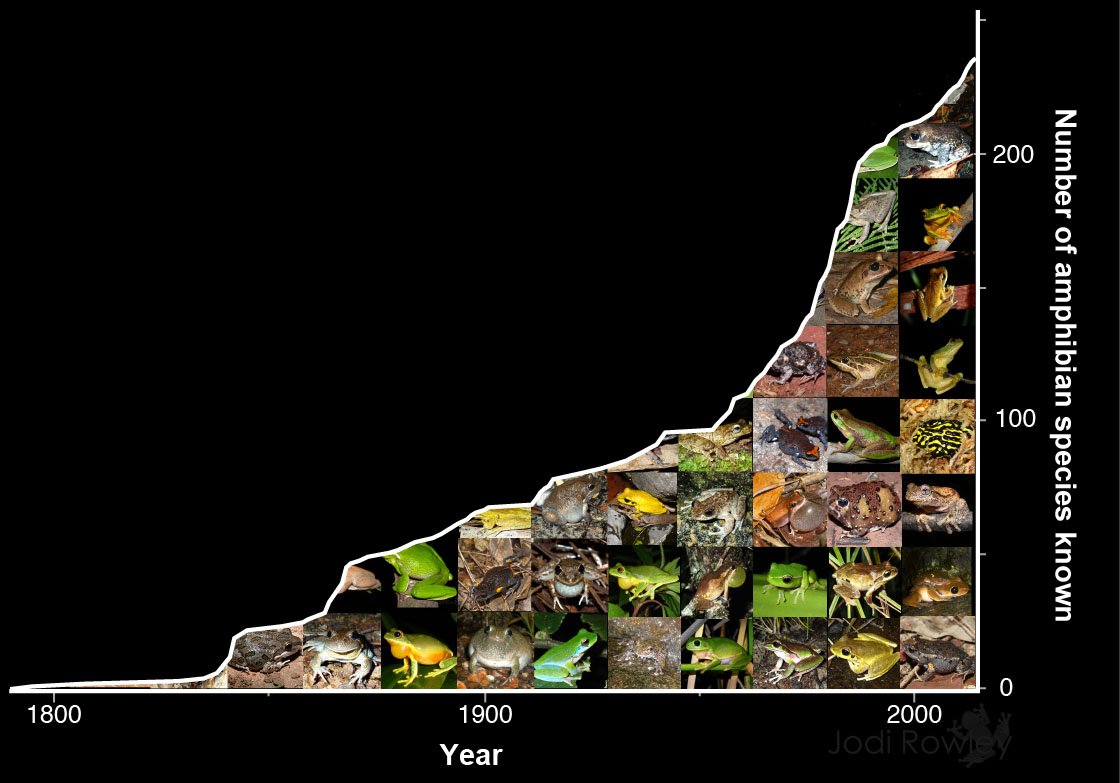 Jodi Rowley tweet media