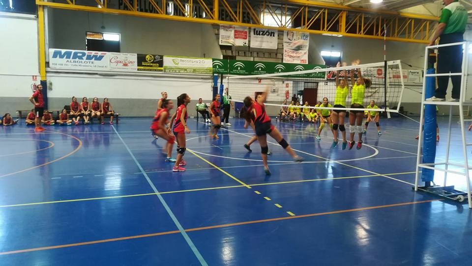 DeportesGR's tweet photo. VOLEIBOL @geoalbolote consigue una cómoda victoria y sigue instalado en la zona noble |  @3elenchurri | https://go https://t.co/3O4GlfiX9c https://t.co/sdLnqr6pNO