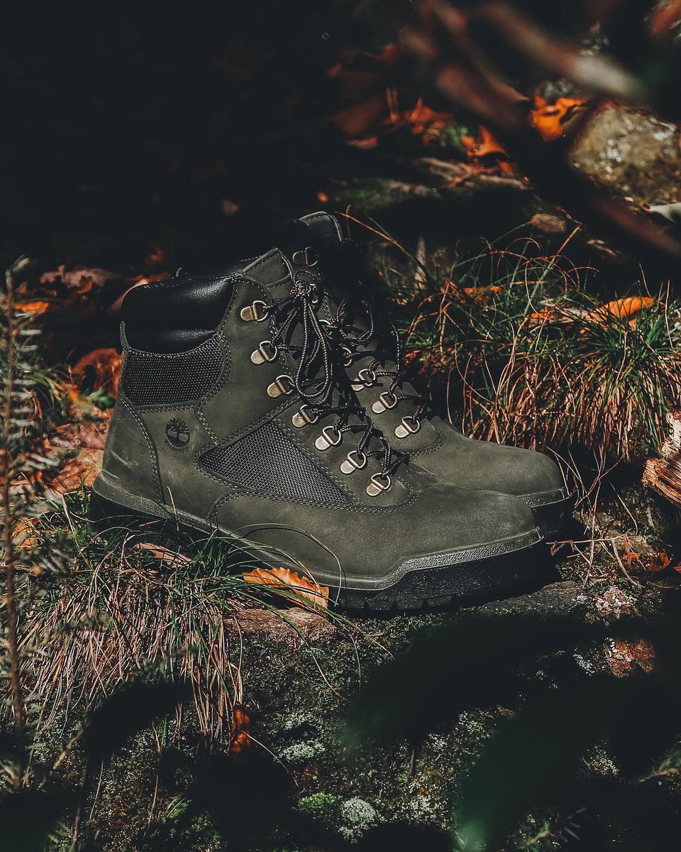 steak and greens timberlands