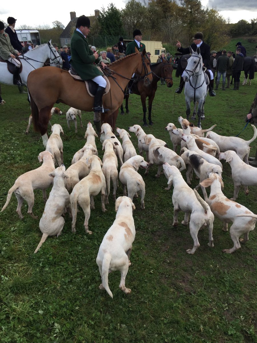 spunk75's tweet image. C'mon guv let's get going!!