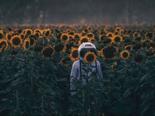 localchaotic's tweet image. “these dreams are something else. they are so far into elsewhere that i’m not sure that i’m dreaming anymore. i can’t sleep anymore. i can’t be here anymore”