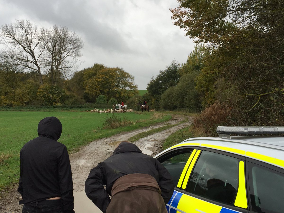 NELSabs's tweet photo. Hit report Suffolk Hunt Sat 4 November w/ SES @SCambsHuntSabs @CamHuntSabs #Hunt #stopthehunt https://t.co/0upWUBNnwG https://t.co/RWLdTJqETe