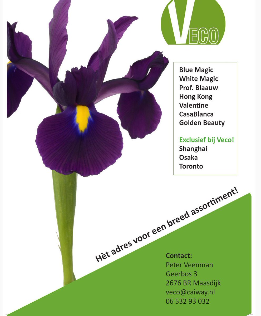 Vanaf woensdag zijn wij ook te zien op <a href="/RFHTradeFair/">Trade Fairs by Royal FloraHolland</a> stand 10.3 hal 1 iris collectief.