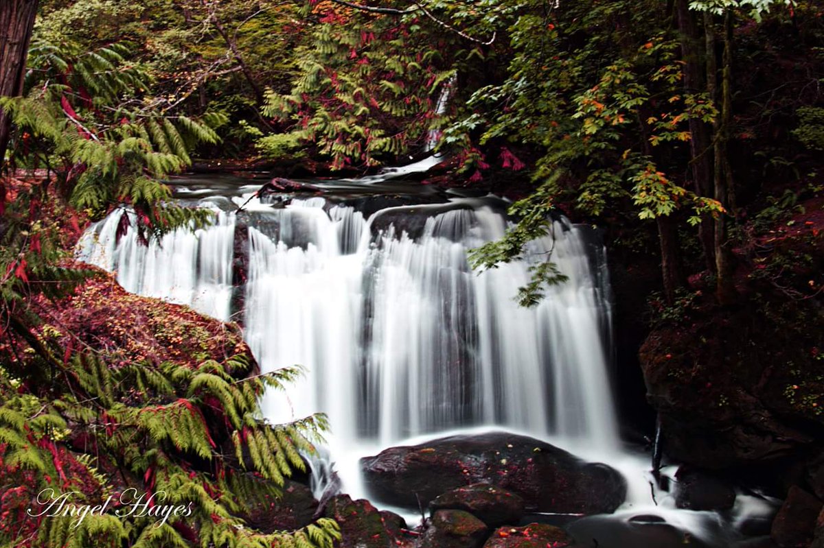 AngelHayesPhoto's tweet photo. #PNW #waterfalls #wa #whatcomFalls #Fall #longexposure #nature #chasingwaterfalls #Bellingham #parks #photography #PhotoOfTheDay #Canon https://t.co/716GD5GnJl
