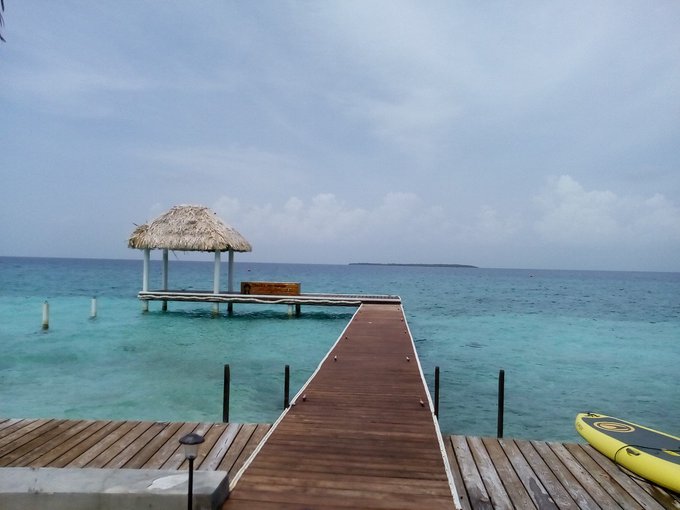 moar! &amp; about the expat club/bar, they have a paint palette in the washroom w. different shades of tan<a href="/tag/thongthursday"class="tags"><span>#thongthursday</span></a>