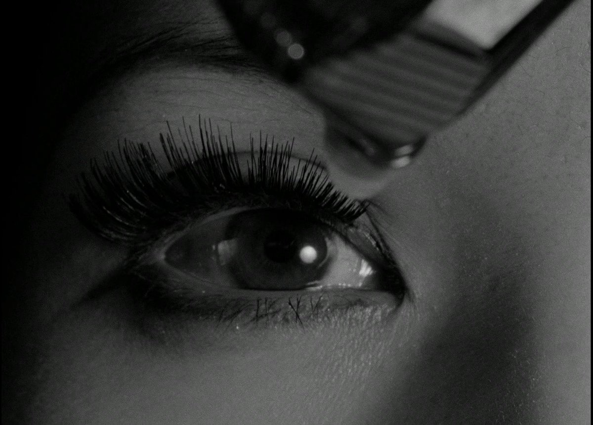 DVDBeaver tweet media