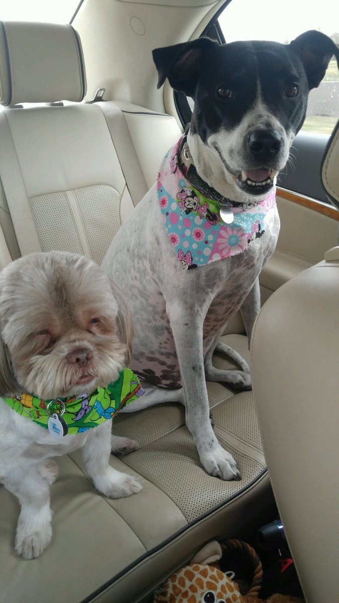 bigboy_bruise's tweet photo. road trip w my sister! https://t.co/4rRLQTNszb