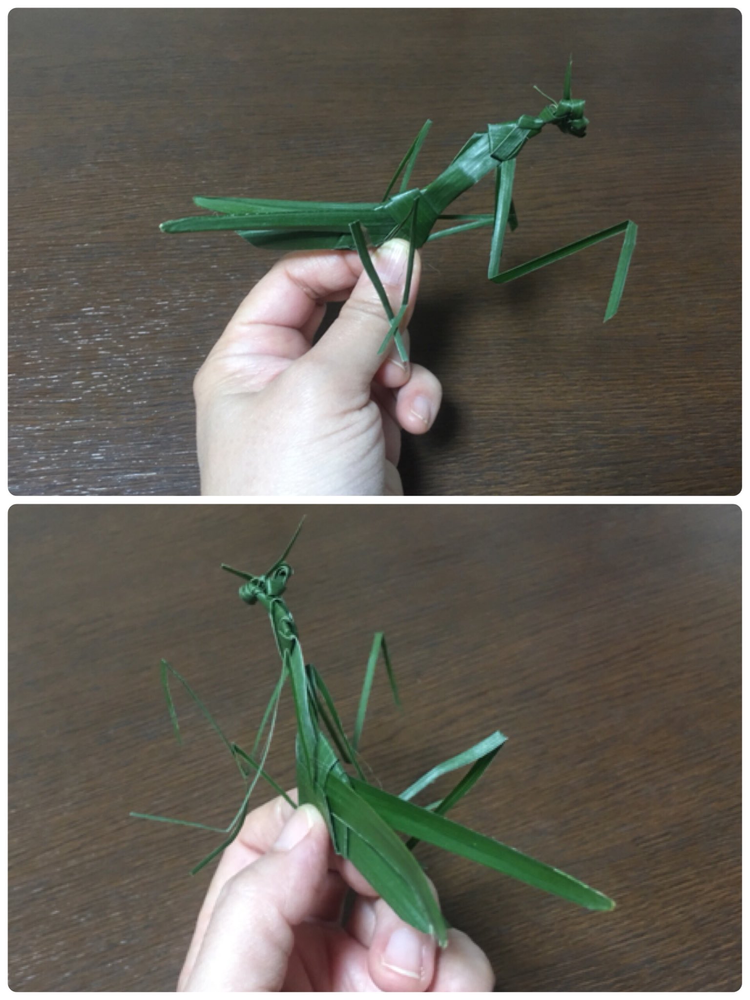 Inori シュロの葉のカマキリです こちらはシュロバッタを元に私が考えました まだ 試作中なので腕の作り方が最初の二枚と後の二枚では違います 一応最初のカマキリの作り方はこちら T Co 2zvqiccuka 少し分かりにくいかも 後の二枚は Inori シュロの葉のカマキリです こちらはシュロバッタを元に私が考えました まだ 試作中なので腕の作り方が最初の二枚と後の二枚では違います 一応最初のカマキリの作り方はこちら T Co 2zvqiccuka 少し分かりにくいかも 後の二枚は