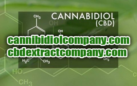 webnamedomains's tweet photo. Domain For Sale! #marijuana #domains #medicalmarijuana #cbd #websites #business #marketing #sharktank #Entrepreneurship #entrepreneurs #idea https://t.co/Ls7wPm7oz2