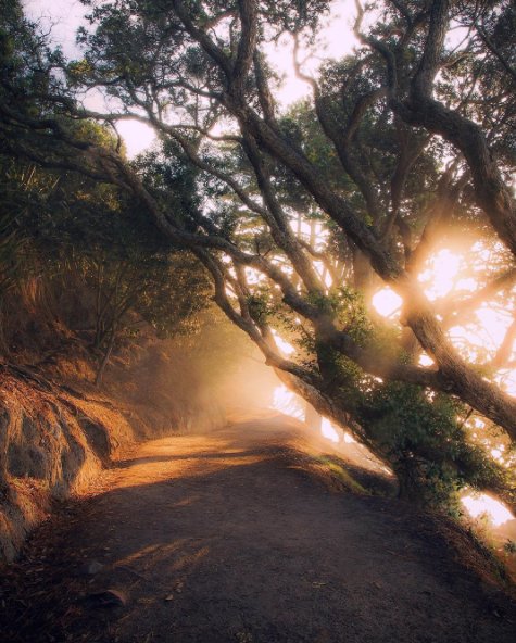 powerfulhuman's tweet photo. “Nobody can go back and start a new beginning, but anyone can start today and make a new ending.”– Maria Robinson #motivation https://t.co/714qx1K27e