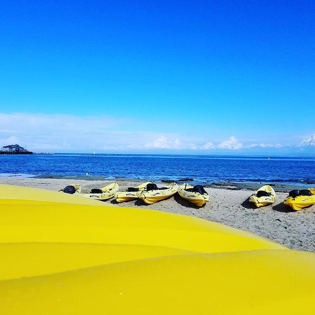MBKayaks's tweet photo. Another beautiful day on the bay! Don't let a little drizzle in the forecast scare you away. #gokayaking  #getoutside 📷: @montereybaykayaks https://t.co/sNoaWcQIQR