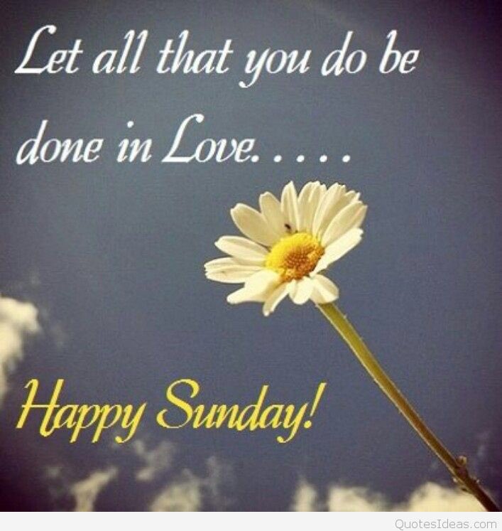 @BChanXL @Aking_Poreber24 <a href="/ALDUBNation/">ALDUBNation</a> @ALDUBNATIONNCR <a href="/TropALDUB/">TROPANG ALDUB ᴬᴰᴺ</a> <a href="/ALDubFTnQT/">ALDUB_FTnQTees ᴬᴰᴺ 😌</a> <a href="/fthotladies/">🔥ALDUBHotLadies ᴬᴰᴺ🔥 ( Parody)</a> <a href="/AMInaticsOFC/">AMInatics OFC ᴬᴰᴺ</a> @ALDUB_inARTeam <a href="/ALDub_RTeam/">ALDUB_RTeam</a> <a href="/Salvesayson/">SALVE 🎀ALDUBKingdom🎀</a> <a href="/WHairedFairy/">Periwinkle</a> @ALDUB_Joy25 <a href="/ricsl1600/">THE PHENOM</a> @aldub_sherry18 <a href="/iam_ginghs/">🦔 💕MyeS🎀</a> <a href="/AkingPoreber24/">👧ɖi_ŋą_ơřiɛŋŧ❤💑</a> <a href="/Arwen_Elfin/">💕Arwen🎀🐰</a> @sakurakharel <a href="/lallavillamil61/">LALLA Villamil</a> <a href="/abcbants/">ABCbants_Luna</a> @lynieg88 <a href="/amyagapito11/">💝AmyAga-7💝🇯🇵🇵🇭</a> <a href="/Mamita1224/">💛BeautyMAMiTA🇵🇭🇯🇵</a> <a href="/WDabuet/">❤WenRomania 🇷🇴❤</a> <a href="/mariachonatabe1/">🌷Chona 🍁</a> <a href="/serranodmarie/">marie serrano</a> <a href="/Glynnchen/">ALDUB_GER_Glynnchenᴬᴰᴺ</a> <a href="/boongaling_e/">Lorena E.Boongaling</a> @lynie1283 <a href="/Mye_Pixie/">💕Mye.S 🎀💃🦔</a> <a href="/marichotabelina/">🌷chon🍁(parody account)</a> <a href="/carino_dolores/">ⓂDoLores Quirimit〽</a> <a href="/JennyOcera/">ALDUB_Jennie ᴬᴰᴺ</a> <a href="/Barbarapunzala1/">Barbara punzalan</a> <a href="/japple003/">✨apple✨ᴬᴰᴺ</a> <a href="/MagicKal_Faery/">💕SentimentalPixie🎀🦔</a> <a href="/ConnieV17/">connievinluan❤</a> <a href="/Koletskilang/">LenySexy</a> @jophie30 <a href="/Myles0312_uk/">SuPeRMyLes💙BaE_🇬🇧 ᴬᴰᴺ</a> <a href="/mecampo09/">👋😘 mAkI👊😉</a> <a href="/jephoi23/">Jeffrey Balais</a> <a href="/NtKatara/">🌹ntkatara🌹™</a> <a href="/pinkyfaye/">MariaFe VelascoM</a> <a href="/milkyway1969/">Ophirian Mike™ ✌🏽❤️🇵🇭</a> <a href="/mickhaela08/">Mickhaela08</a> <a href="/mark31926/">📝paranoid ᴬᴰᴺ 🎭🇶🇦</a> <a href="/Wennie210/">💓WennieD💃💃ADN 🇷🇴💓</a> Hi bc @BChanXL grabe ka, akala ko wrong ht ako!! 😂😂✌🏻 I double checked my ht 😂. Wishing you a lovely Sunday! 🤗 gv lagi #ALDUBLovingHearts