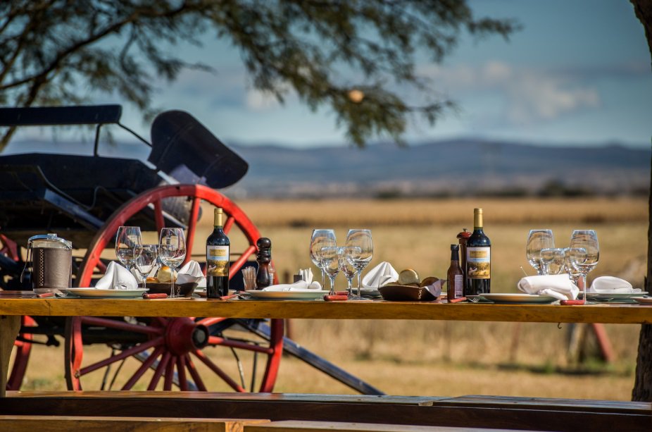 Sierra_Brava's tweet photo. Everything is ready at the lodge🍽️ World class lunch #legendaryservice #dovehunting #doveshooting https://t.co/hcD6t7bGR7