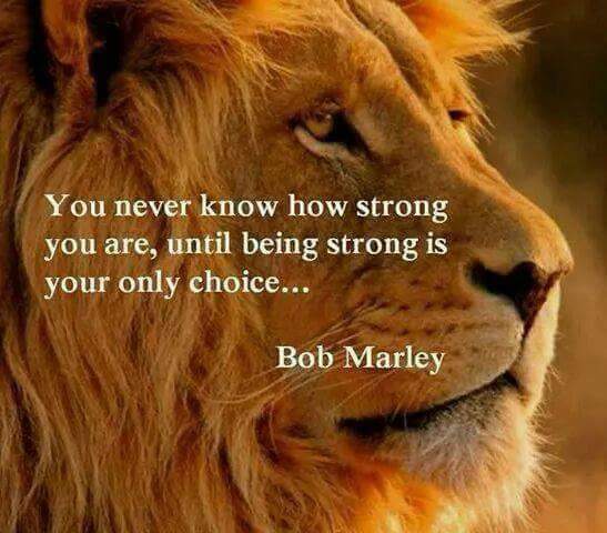 Karen Watkins tweet media