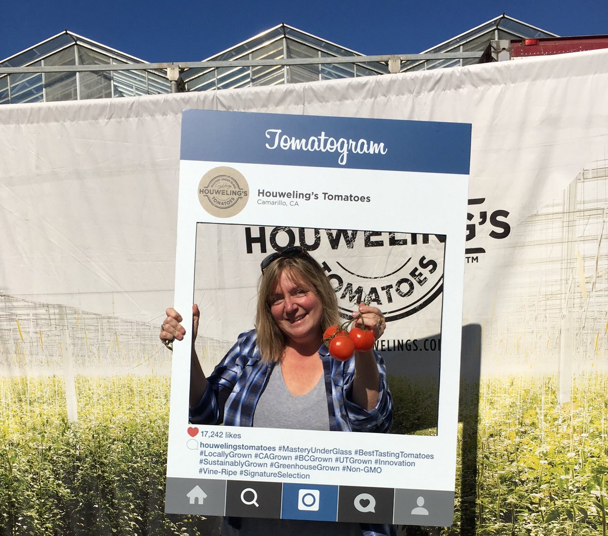 805foodie's tweet photo. 2nd stop #VCfarmday: scheduled tour at @Houwelings_ greenhouses for ๐
and ๐ฅin Camarillo @SEE_AG https://t.co/PzF1GX6foh
