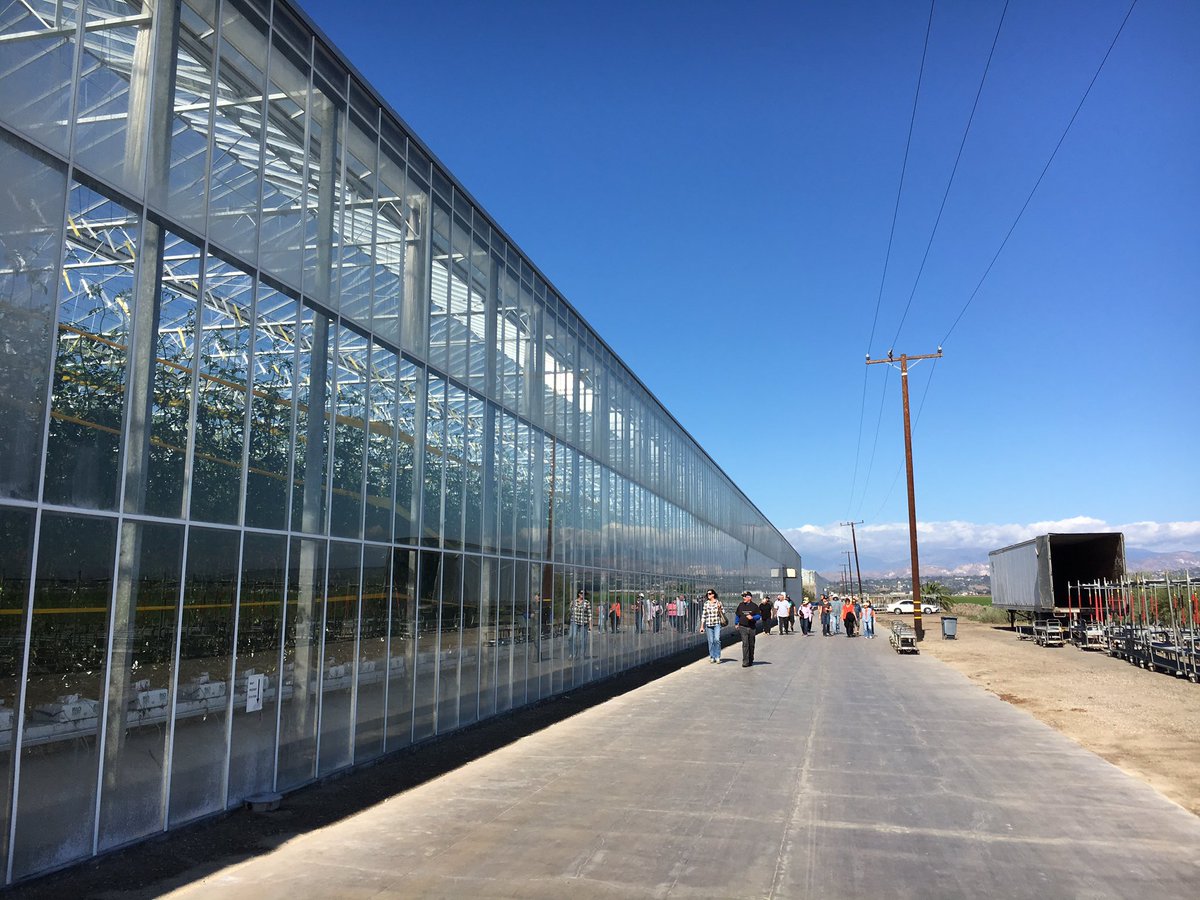 805foodie's tweet photo. 2nd stop #VCfarmday: scheduled tour at @Houwelings_ greenhouses for ๐
and ๐ฅin Camarillo @SEE_AG https://t.co/PzF1GX6foh