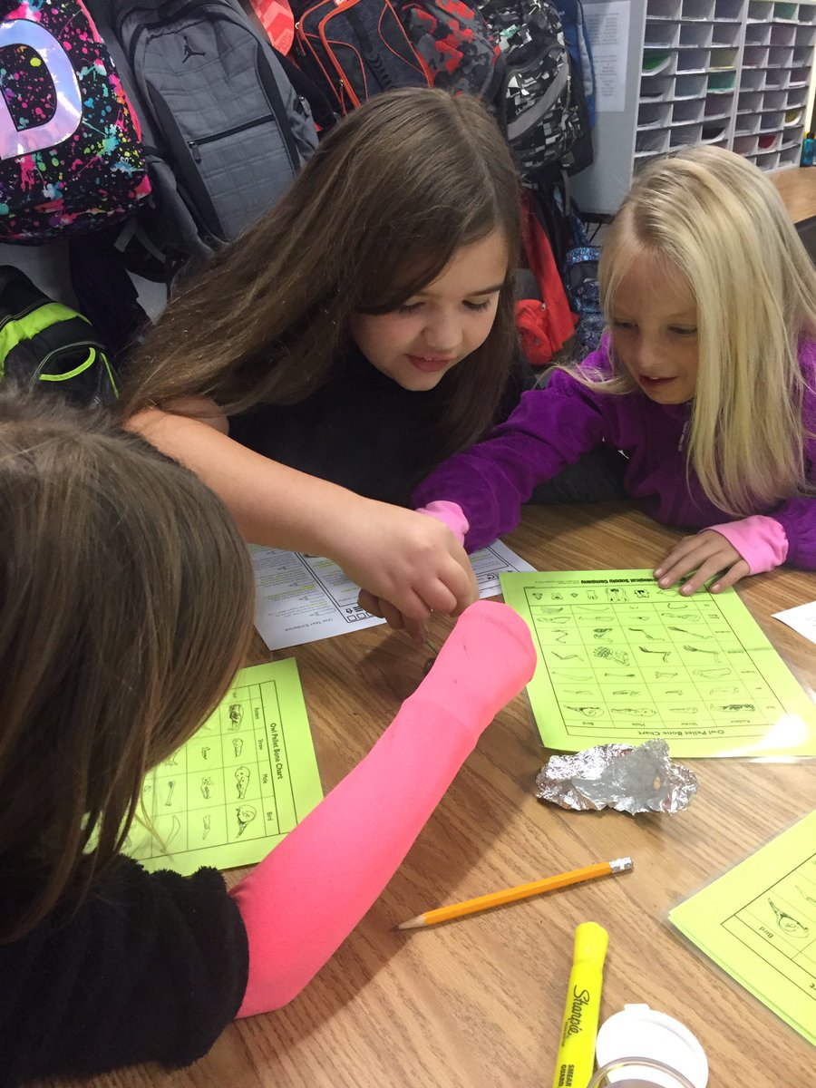 MrsHowell3BG's tweet photo. Owl Pellets! #bgestem https://t.co/TSmP4D6JhZ