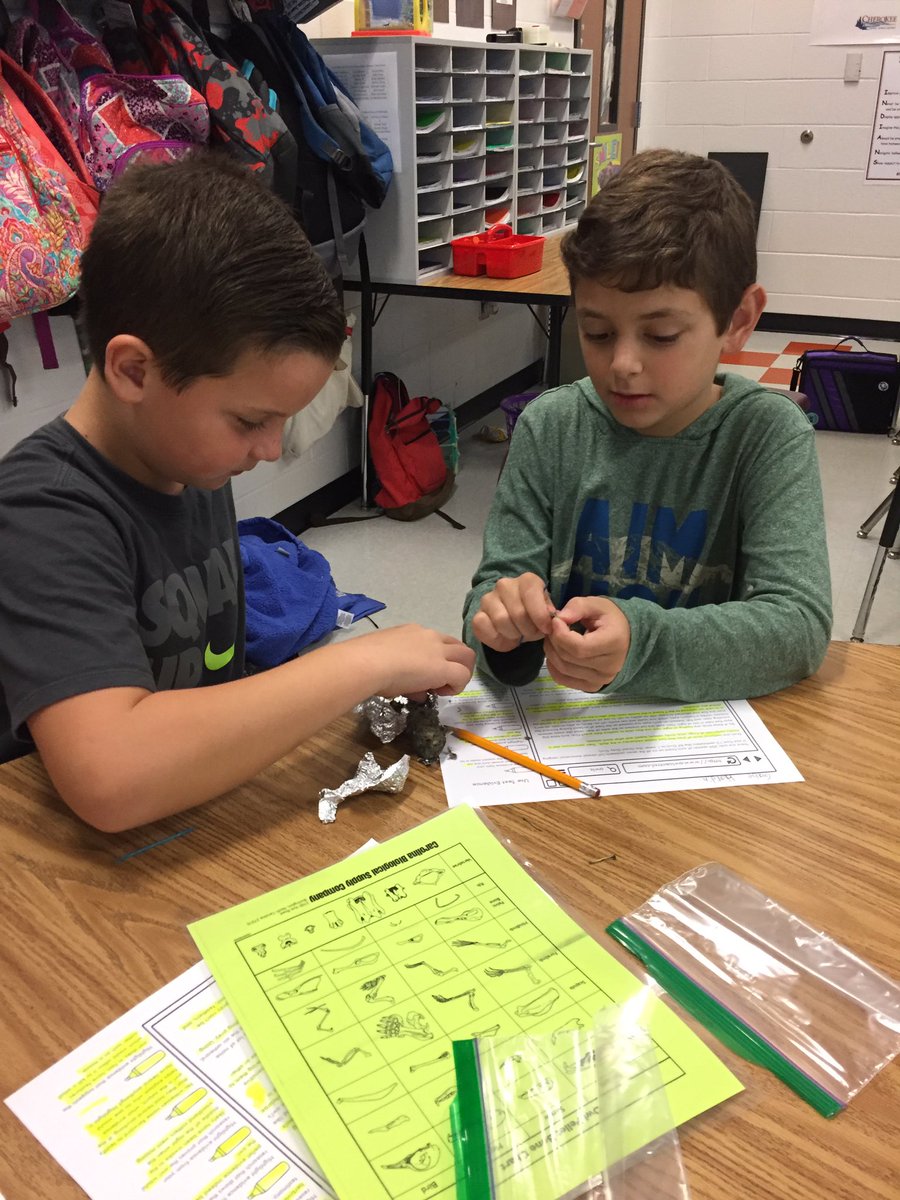 MrsHowell3BG's tweet photo. Owl Pellets! #bgestem https://t.co/TSmP4D6JhZ
