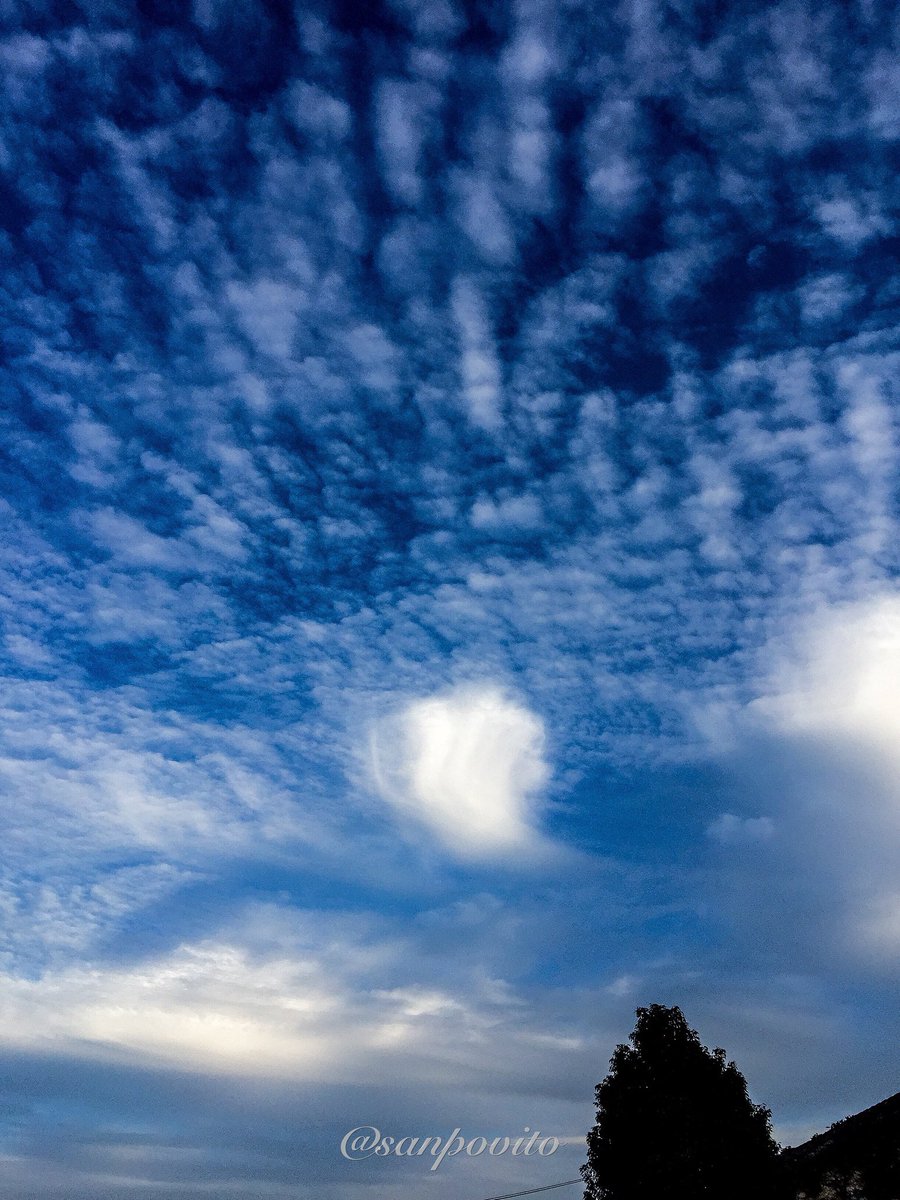 eos7dm2's tweet photo. Good morning ♪

#写真撮ってる人と繋がりたい 
#写真好きな人と繋がりたい 
#ファインダー越しの私の世界 
#散歩 #写真 #きみのうた #東京写真部 #東京カメラ部 #東京 #tokyo #photography #photo #like #today https://t.co/570OwymN58