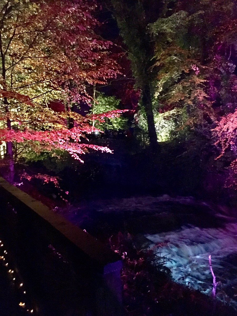 createcoms's tweet photo. Fabulous night @DCCPIlluminight #Kilmarnock  #illuminight. If you can, go. Not to be missed https://t.co/acZPYpI8dE