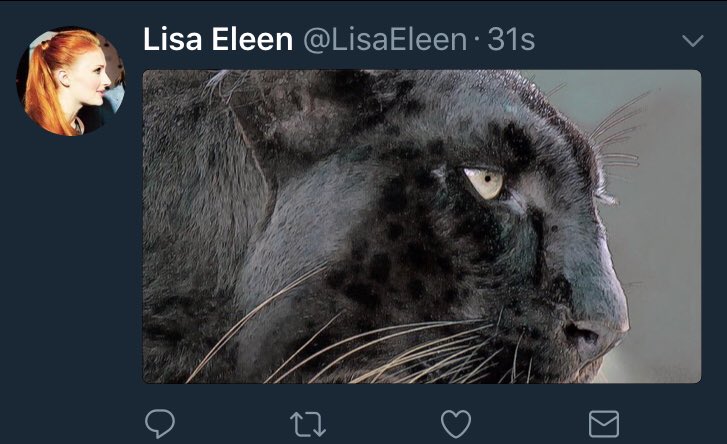 HogwartsTeamTR's tweet photo. Panthers will reunite again... https://t.co/ZcxHDqqqQm