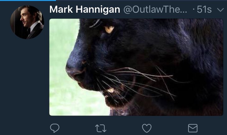 HogwartsTeamTR's tweet photo. Panthers will reunite again... https://t.co/ZcxHDqqqQm