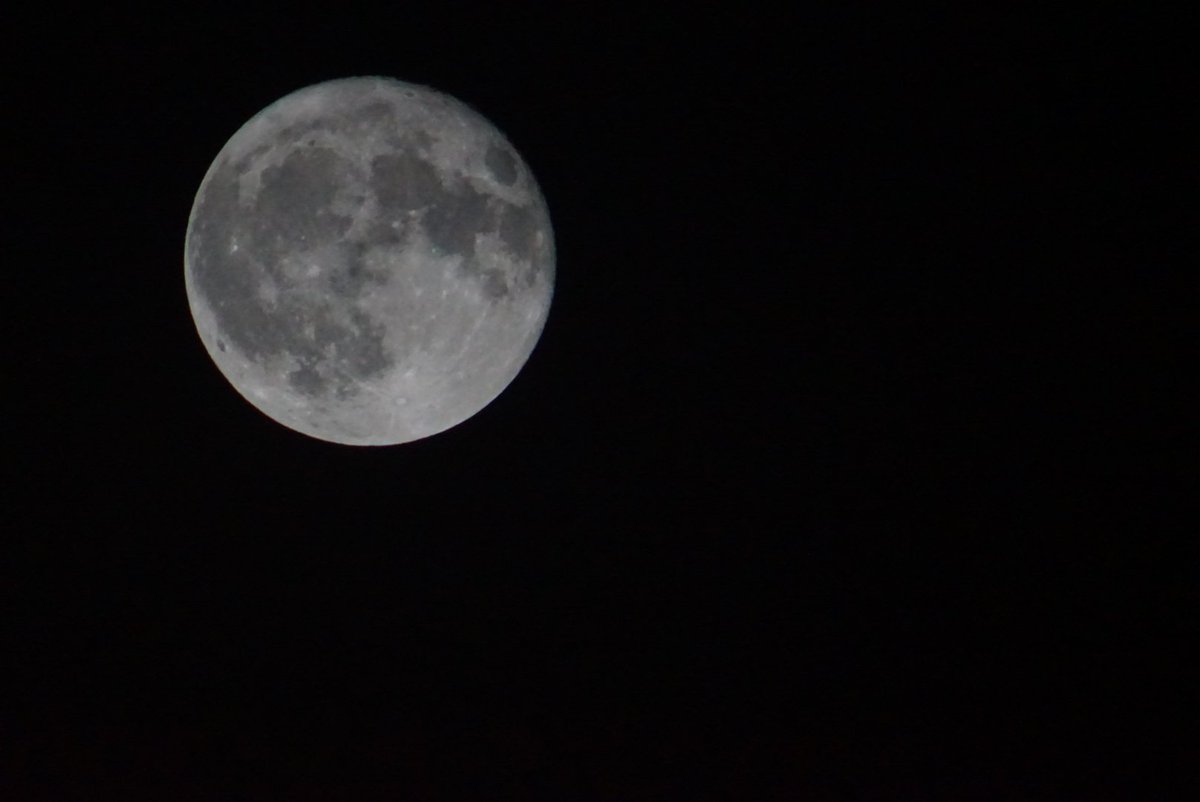 1984_wsmith's tweet photo. #FullMoon shot.
f = 800mm (including 2x TC) 
f / 5.6
t = 1/1600

@Nutt007
@Skysurfer77x

Show us your full moon, please! https://t.co/5KkPUtpomE