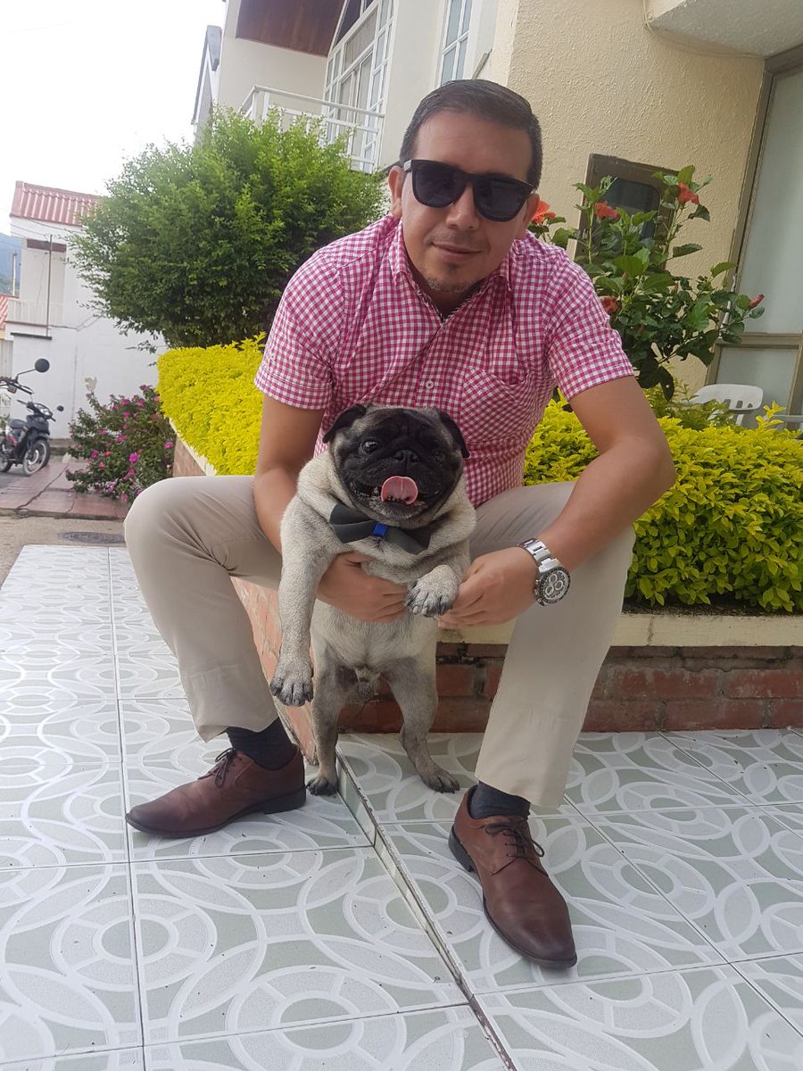 jonysalinas's tweet photo. #Pug #Jerónimo #Chorly https://t.co/bLNHyXEvyA