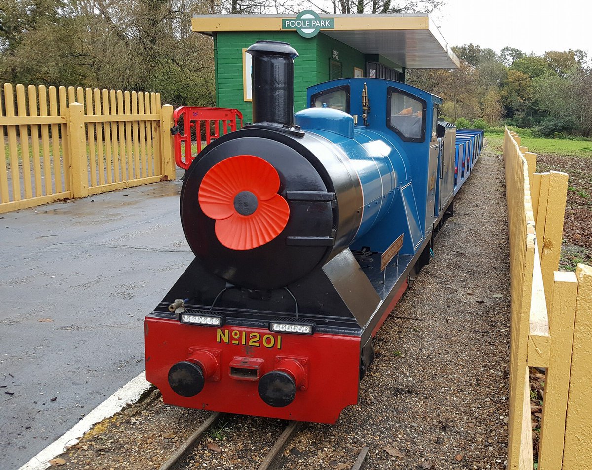 Princess Swee'pea will proudly be wearing a poppy and steaming her way around the track tomorrow, on Sunday 5th November 11.00am to 3.00pm