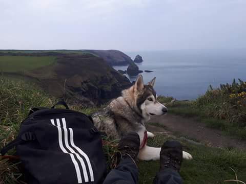WayneKoda's tweet photo. 3 Nov
Had the pleasure of walking & talking with Sharon Bond from #Boscastle to #Bossini. I then walked #Tintangle
@adidas
@swcoastpath https://t.co/jnwQL78a9W