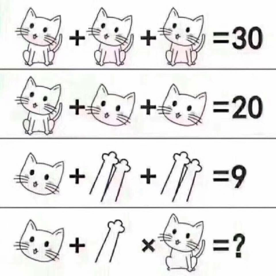 Meowganizer's tweet image. What's your answer?