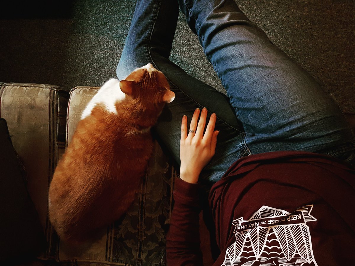 camera_beauty's tweet photo. Saturday afternoons....🐱💤 #catnap #keepclosetonature @tentree  #sudburyontario #northernontario #sudburyphotographer  #beautyandthecamera https://t.co/bryFumqfe2