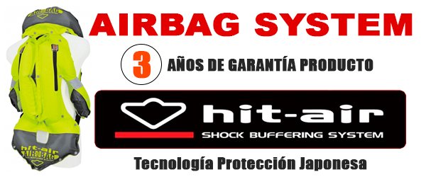 STM MOTOR tweet media