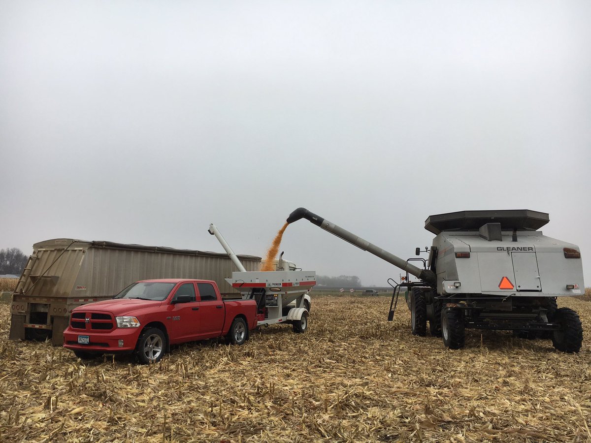 CarlsonSeeds's tweet photo. Last plot of the year! #pioneer #yieldhero #P0306amxt 244 bushels https://t.co/05viltNCOE