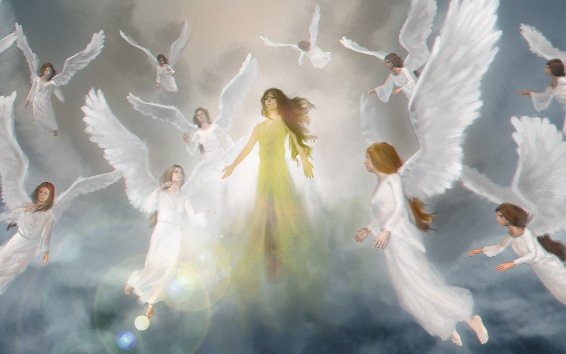 SusanAngelEFT's tweet photo. Don't miss the early bird rate for my Dublin workshop #ShineLightworker https://t.co/TBM4McrvFp https://t.co/dRadjYckyb