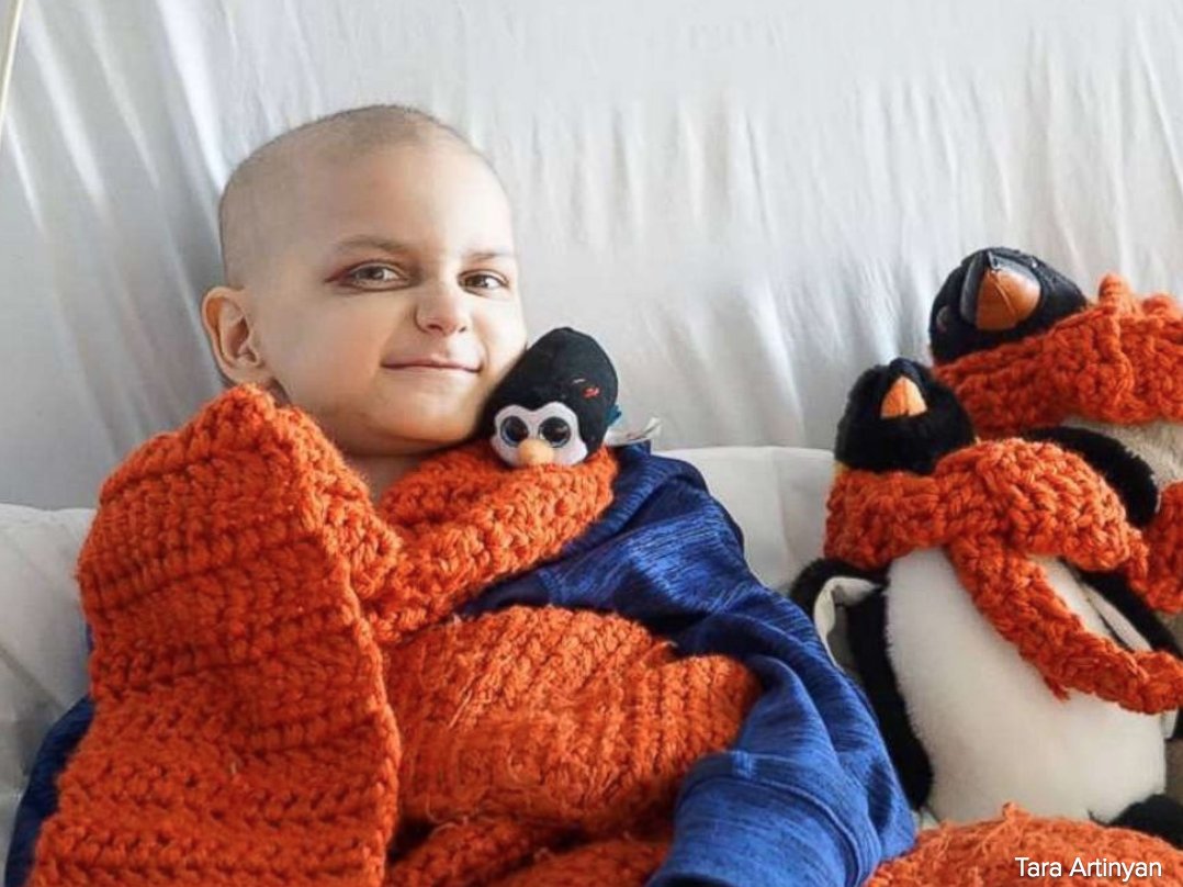 9-year-old boy with terminal cancer hoping for cards from around the world to celebrate his last Christmas. abcn.ws/2zuUorG