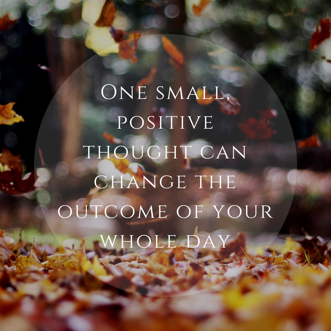 APTacious's tweet photo. A positive outlook can transform not only your mood but your day too! #aptacious #leaves #fall #positivity https://t.co/9yCuk7sYTg