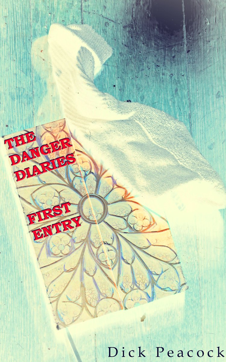 The Danger Diaries: First Entry has received a five-star review! Only on Amazon.com amzn.to/2AiW98N