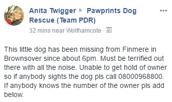 Pawprints Dog Rescue (UK) tweet media