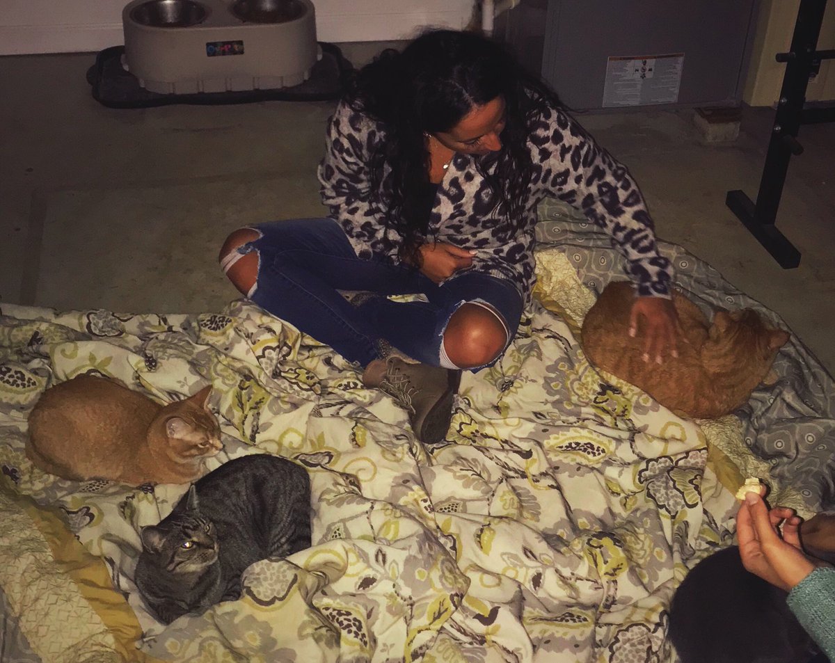 LexGaeta's tweet photo. Literally me at any social event ever #findtheanimals https://t.co/gzAdlj9xUY