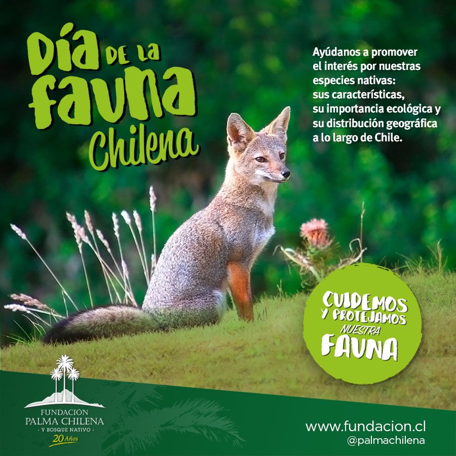 sandoval_sole's tweet photo. Feliz #DiadelaFaunaCL les desea Fundación Palma Chilena https://t.co/cEI3zfDI9f