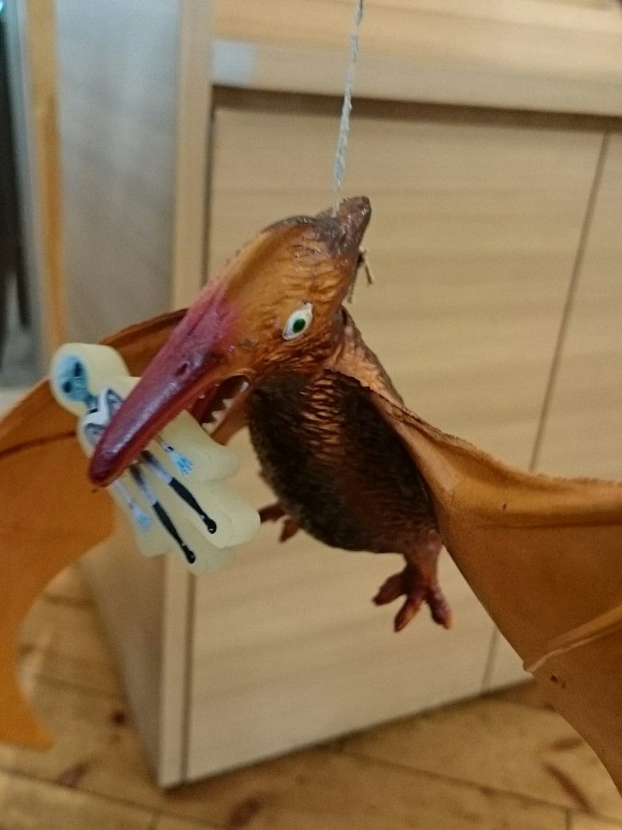 スーフェス大阪4