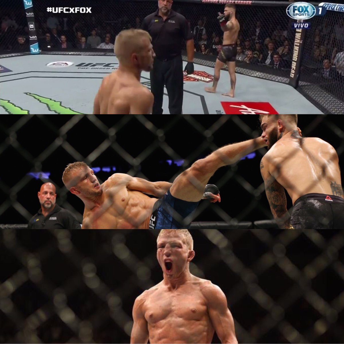 s1kwitit's tweet photo. When keeping it real goes wrong #ufc #UFC217 #mma #sorewarding @TJDillashaw https://t.co/KKbLQga8yF
