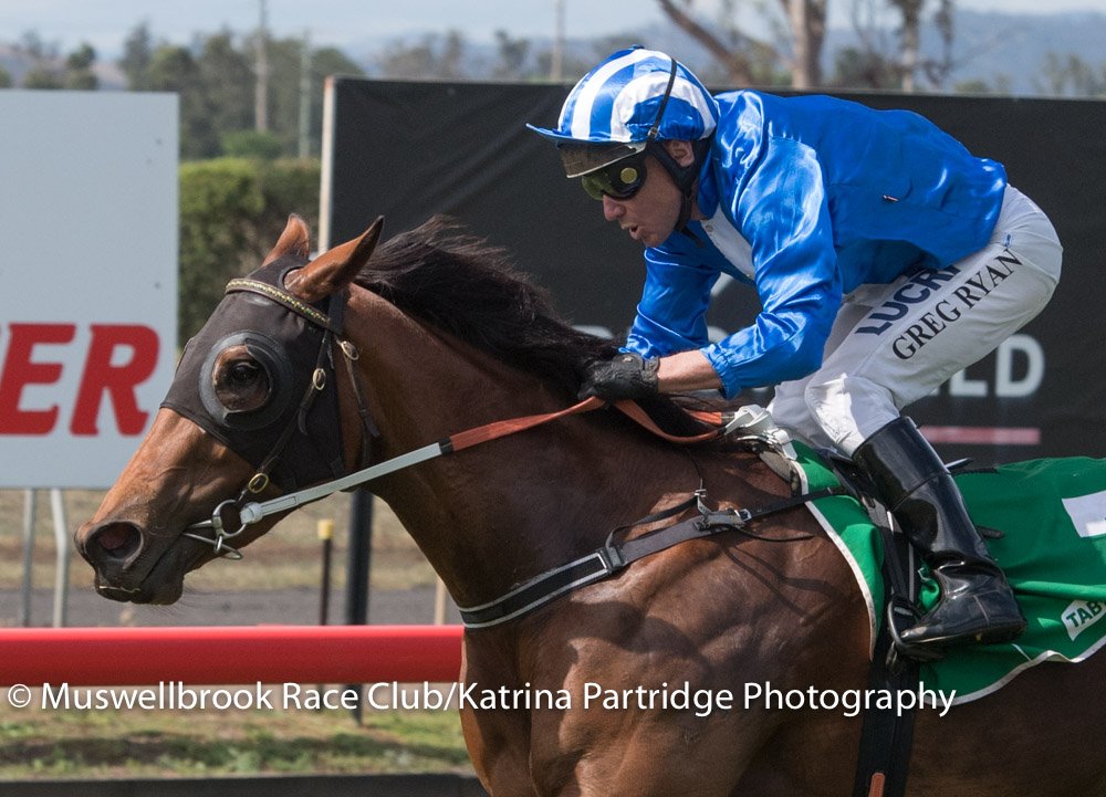 thebrookracing's tweet photo. BORN IN BARCELONA won R3 98.1 FM 3YO Maiden Plate 1000m @rodnortham #GregRyan RT 57.59 https://t.co/iEBAN2yRDt