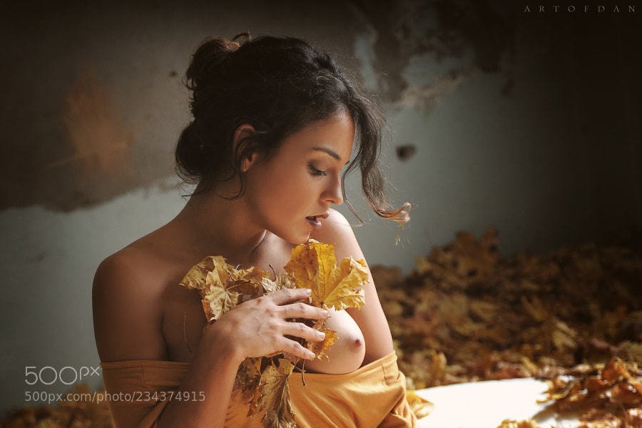 Ofra Ziv On Twitter My Autumn Dreams By Artofdan Photography