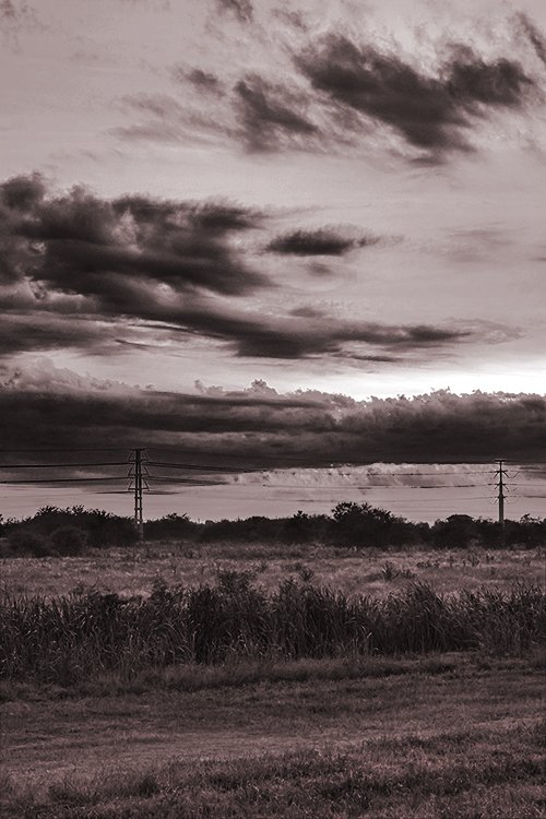 EnRuCo_PH's tweet photo. Desvanenciéndose II / Fading II
©enruco
___
#sky #cielo #nube #cloud #red #countryside #campo #landscape #paisaje #fotografia #foto #PH https://t.co/heMbYZQrjO