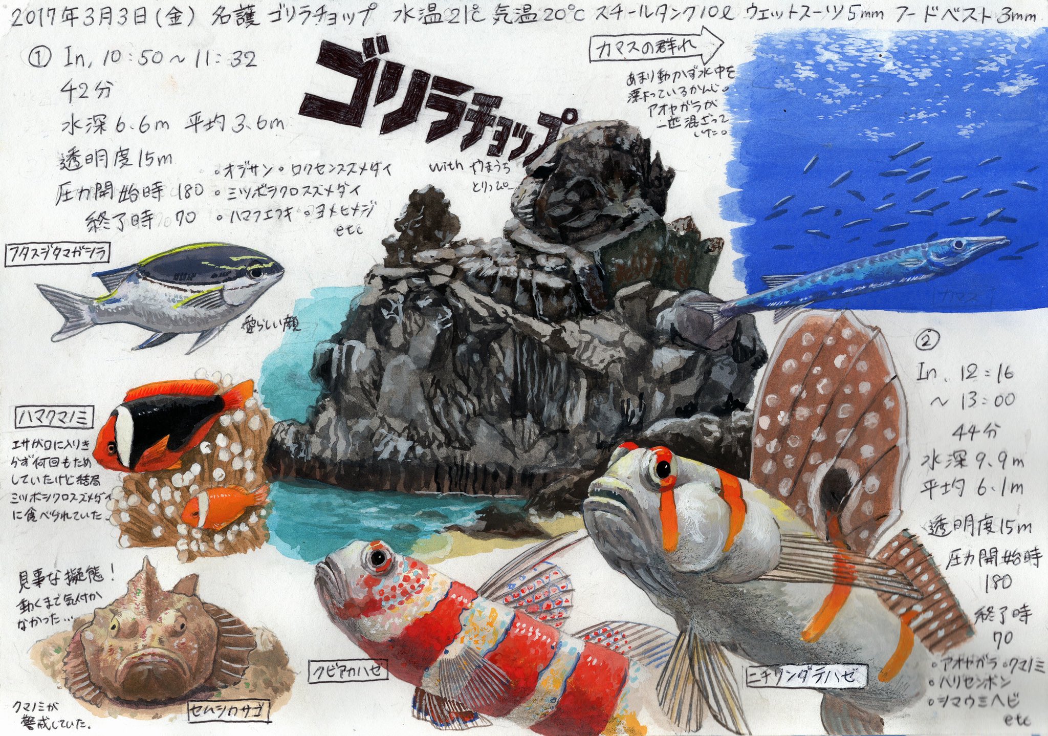 檜 こちらも過去ログですがのせてみる ニチリンが描いてありますがゴリチョにニチリンはいませんでした なぜ描いてあるかというとダイビングど初心者の当時ダテハゼを鰭を閉じたニチリンだと勘違いしていたからです 盛りすぎよくない ダイビング